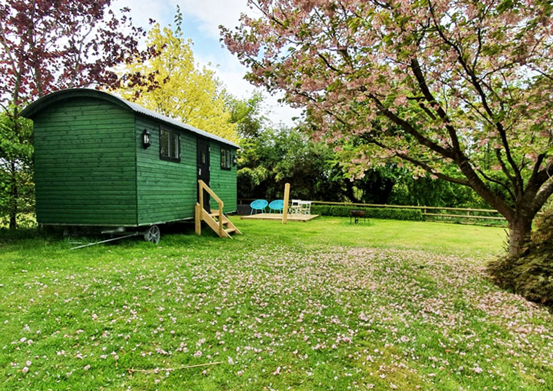 A 6m Shepherds Hut in the Shropshire countryside