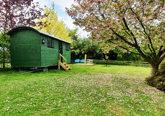 Shepherds Hut Glamping, Shropshire