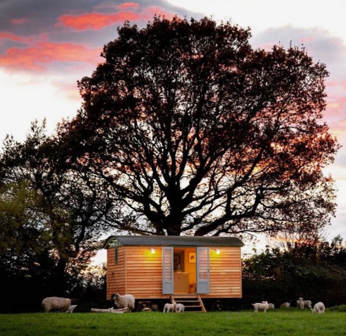 XL Shepherd Hut Self-Build Bundle with French Doors